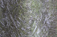 Charltons fibreglass roof work